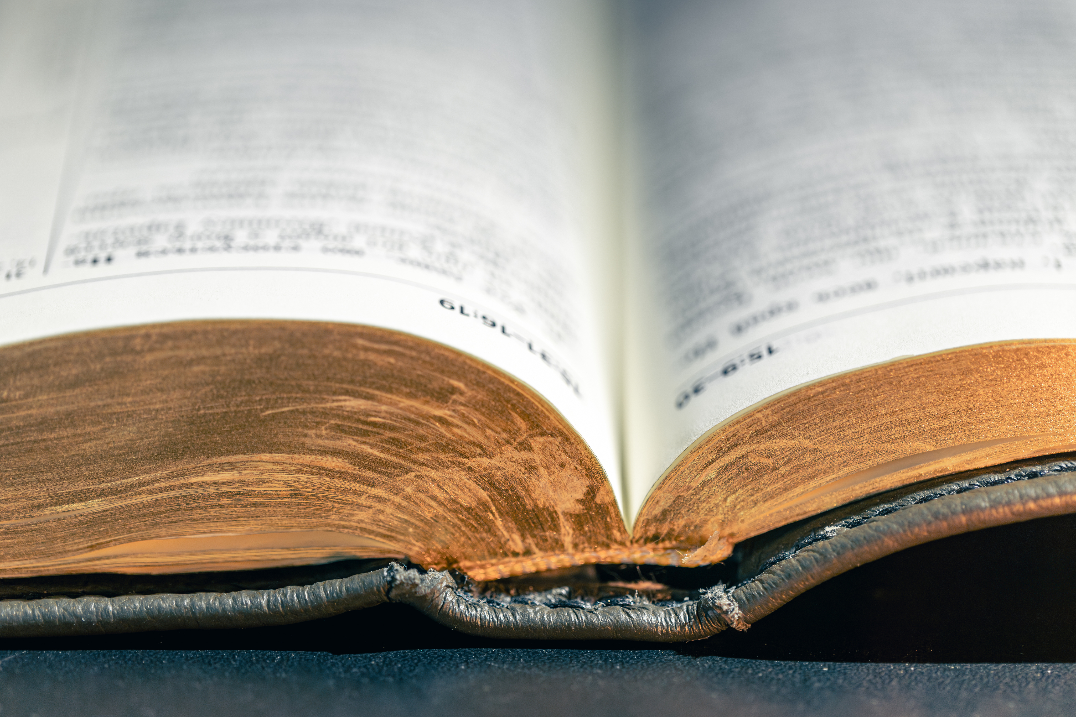 Understanding the Original Languages: Why Greek and Hebrew Matter